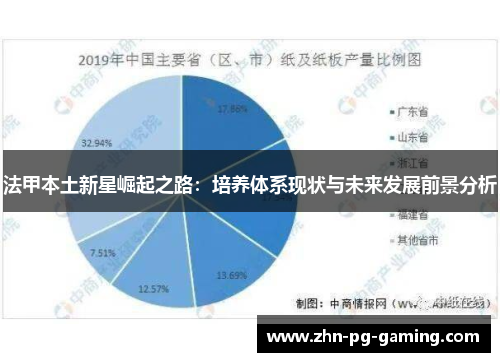 法甲本土新星崛起之路：培养体系现状与未来发展前景分析