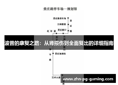 波普的康复之路：从肾损伤到全面复出的详细指南
