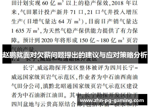 赵鹏就面对欠薪问题提出的建议与应对策略分析