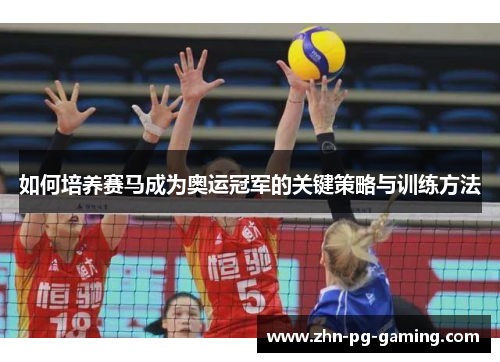 如何培养赛马成为奥运冠军的关键策略与训练方法