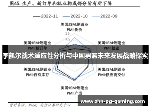 李凯尔战术适应性分析与中国男篮未来发展战略探索