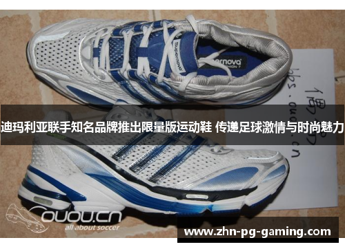 迪玛利亚联手知名品牌推出限量版运动鞋 传递足球激情与时尚魅力
