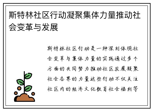 斯特林社区行动凝聚集体力量推动社会变革与发展